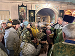 Вербное Воскресенье в Павловске
