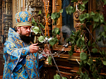 Глава Воронежской митрополии посетил г. Борисоглебск в день празднования иконы Божией Матери, именуемой "Достойно есть"