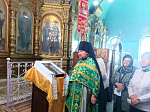 В храме святителя Афанасия Александрийского села Солдатское совершено соборное богослужение духовенства Острогожского церковного округа