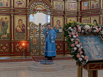 В преддверии престольного праздника Архипастырь совершил всенощное бдение в Покровском храме с. Шапошниковка Ольховатского района