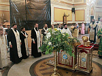Паломническая группа духовенства и мирян Россошанской епархии посетила Свято-Владимирский собор в Херсонесе