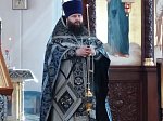 Литургия Преждеосвященных Даров в храме Большой Хвощеватки