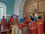 В день памяти преподобномученика Илариона (Цурикова) в Острогожском благочинии совершено соборное богослужение
