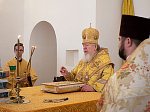 Глава Воронежской митрополии посетил с архипастырским визитом город Павловск