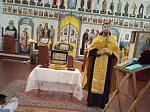 Ковчег с частицей мощей святителя Тихона Задонского посетил приходы Россошанского благочиния