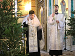 Праздничное богослужение в Рождественский сочельник в Свято-Ильинском соборе г. Россошь