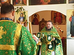 Прихожане села Александровка встретили престольный праздник в день Святой Троицы (Пятидесятницы)