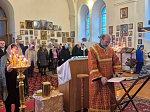  В Богучарском благочинии три села отметили престольный праздник
