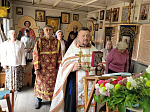 В день памяти святого праведного Иоанна Кронштадтского в храмах Россошанского церковного округа были совершены молебны о страждующих недугом винопития