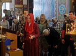 В Россошанском благочинии совершена соборная миссионерская Божественная литургия