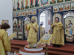 Архипастырь возглавил торжественное богослужение в день престольного праздника храма апостола и евангелиста Иоанна Богослова села Гороховка Верхнемамонского района