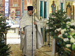 Праздничное Рождественское богослужение в Свято-Ильинском кафедральном соборе г. Россошь