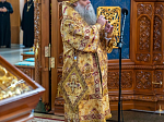 Епископ Россошанский и Острогожский Дионисий в числе сонма Архипастырей совершил Божественную литургию в Благовещенском кафедральном соборе г. Воронежа