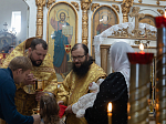 Правящий Архиерей совершил Литургию в Георгиевском храме села Терновое Острогожского района