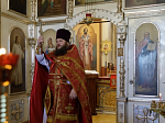 В Россошанском благочинии совершена соборная миссионерская Божественная литургия