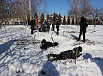 В воскресной школе «Добро» Свято-Ильинского кафедрального собора города Россошь при поддержке русской общины прошла зимняя «Зарница»