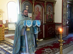 «Благодарственная пения приносим Ти, Богородице, о явлении чýдныя Твоея иконы...»