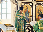 В праздник Святой Троицы в Калачеевском благочинии совершены торжественные богослужения и проведена миссионерская акция