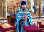 Петропавловский район посетил ежегодный Епархиальный Ильинский казачий крестный ход