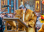 Епископ Россошанский и Острогожский Дионисий в числе сонма Архипастырей совершил Божественную литургию в Благовещенском кафедральном соборе г. Воронежа
