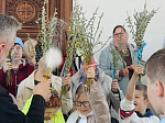 Прихожане Троицкого и Успенского храмов сел Новая и Старая Калитва встретили праздник – Вход Господень в Иерусалим