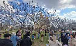 В преддверии праздника Пасхи воспитанники детского сада № 23 города Россоши украсили деревья Свято-Ильинского кафедрального собора