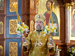 Епископ Россошанский и Острогожский Дионисий сослужил Преосвященным Архипастырям за богослужением в Благовещенском кафедральном соборе города Воронежа