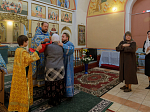 Правящий Архиерей совершил Божественную литургию в храме Покрова Пресвятой Богородицы села Осиковка Кантемировского района