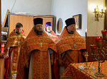 В Россошанском благочинии совершена соборная миссионерская Божественная литургия