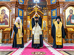 В Воронеже состоялся общегородской крестный ход, приуроченный ко дню памяти Собора святых Воронежской митрополии