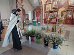 В храмах Богучарского благочиния прошли торжественные богослужения