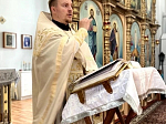 На приходе Преображенского храма села Заболотовка была проведена миссионерская акция