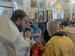 Епископ Россошанский и Острогожский Дионисий совершил архипастырский визит в г. Острогожск и возглавил торжественное богослужение в Тихоновском соборном храме