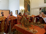 В Россошанском благочинии совершена соборная миссионерская Божественная литургия