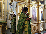 В Свято-Тихоновском соборном храме города Острогожска встретили праздник Пятидесятницы