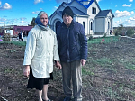 На сельских приходах Россошанского благочиния прошла высадка зеленых насаждений