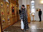 В селе Александровка - Донская состоялась соборная  литургия  