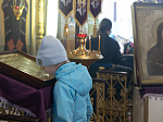 В пятницу 2-й седмицы Великого поста правящий архиерей совершил Литургию Преждеосвященных Даров в Казанском храме с. Гнилое