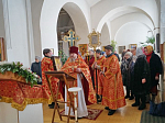  Престольный праздник в Свято-Митрофановском храме с. Верхний Мамон 