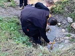 Паломники из Верхнемамонского района побывали на престольном празнике в Белогорском монастыре
