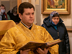 Митрополит Воронежский и Лискинский Сергий возглавил богослужение в Алексиево-Акатовом монастыре г. Воронежа