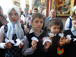 Школьники выпустили голубей