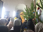 Епархиальный отдел религиозного образования и катехизации реализовал святочную программу «В целом мире Рождество»