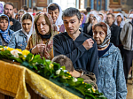 В Воронежской митрополии началось празднование памяти Собора Воронежских святых