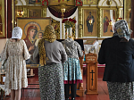 Состоялось принесение чтимого образа Пресвятой Богородицы «Оршанская» в пределы Петропавловского района