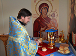 Открытие молельного дома и первое богослужение в слободе Марченковка Ольховатского района