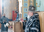 В Великий Пяток Страстной седмицы Глава Воронежской митрополии совершил совершил в Благовещенском кафедральном соборе Великую вечерню с чином изнесения Плащаницы Христа Спасителя