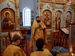 В поселке Каменка прихожане поздравили настоятеля Казанского храма с Днем рождения 