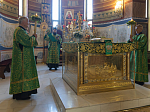 В канун праздника Святой Троицы Преосвященнейший епископ Дионисий совершил всенощное бдение в Свято-Ильинском кафедральном соборе г. Россошь