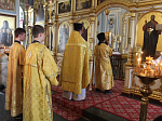 Икона Божией Матери «Оршанская» принесена в Тихоновский соборный храм города Острогожска